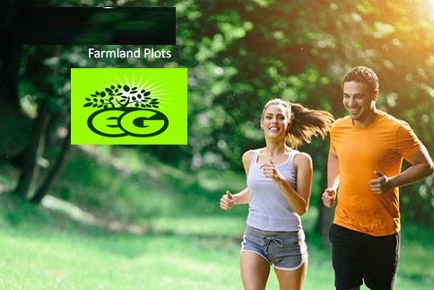 Resort cottages Swimming pool Jogging track min374 sq.yds FARMLAND PL