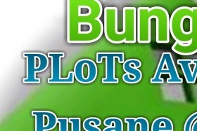 Pusane farm's