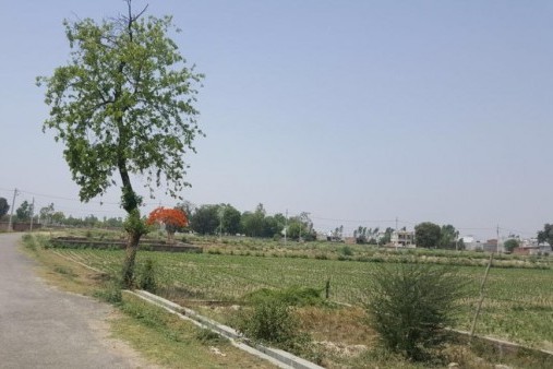 Residential Plot For Sale In Sultanpur Road