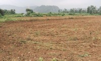 Dhaulas valley