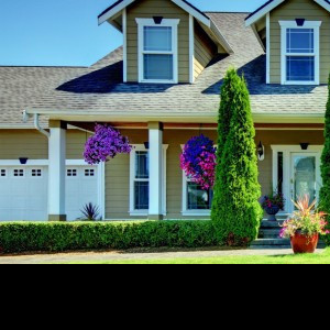 Residetial Flat for Sale